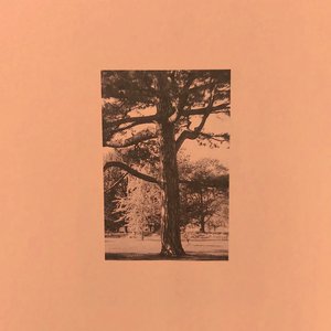 少妇人妻偷人精品视蜜桃
