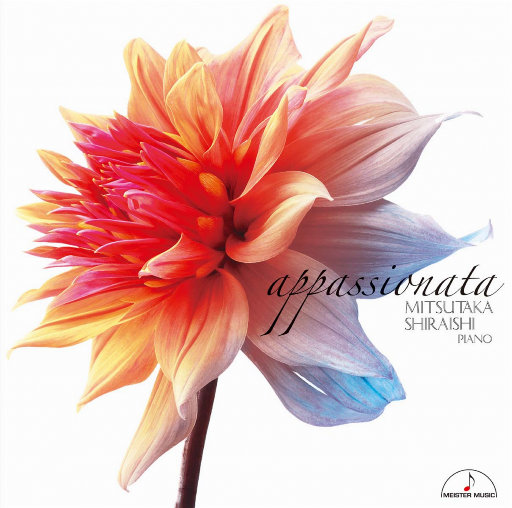 少妇人妻偷人精品视蜜桃
